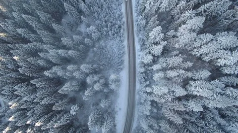 Car driving along the forest road in winter 스톡 동영상 80757539