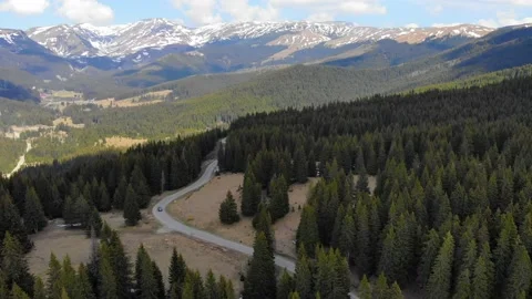 Car driving along the forest road. Car driving through the mountains in spring. Stock-Footage 150663989