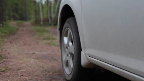 The car is driving along a forest road Stock Footage 155371237