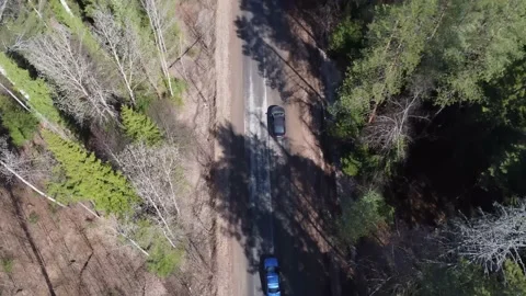 The car is driving along a forest road. One car overtakes another on the road in Vídeos de archivo 239471513