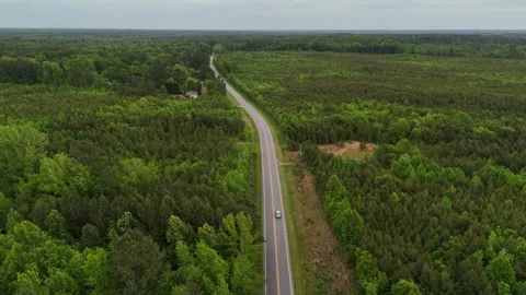 Car driving along a forest road in North Carolina, USA Stock Footage 325684845