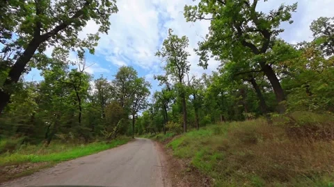 The car is driving along a path in the fresh air in nature in summer. Stock Footage 319031419