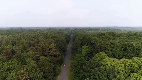 Car driving along road between tall forest, drone aerial 4K Stock Footage 101174428