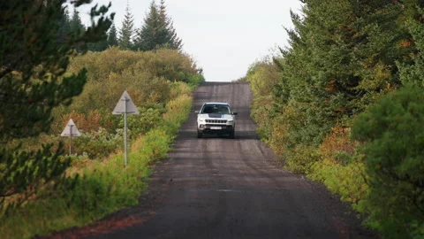 Car Driving Along Tree Lined Country Road Towards Camera Stock Footage 205528646