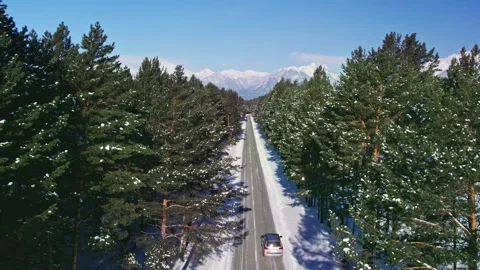 A car driving along a winter forest road Stock-Footage 282702883
