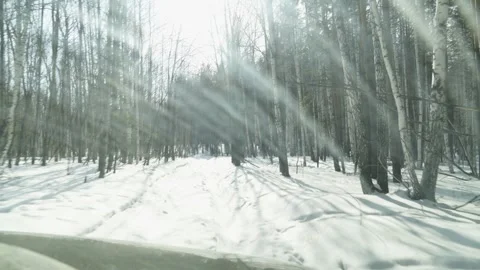 The car is driving on a bad winter forest road. First-person view. Stock Footage 303776953