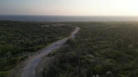 Car Driving Cactus Lined Road at Sunrise, Aruba Aerial View Stock Footage 340925765