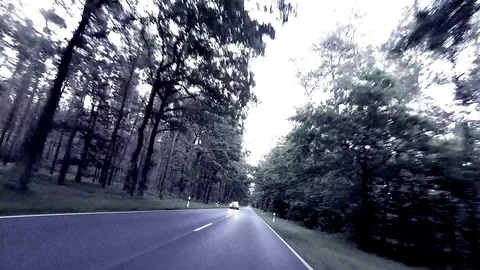 A car is Driving on a dangerous road through a forest at dusk - POV - Time Lapse Video stock 84576783