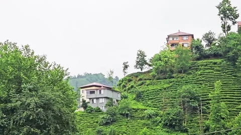 A car driving down a. Stock-Footage 282771152