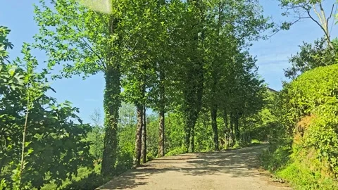 A car driving down a. Video stock 282970966