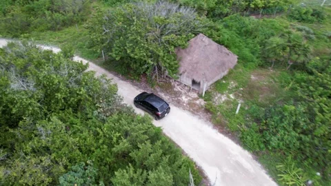 Car driving down the narrow road in greenery. Top down view to automobile Vídeo Stock 233427975
