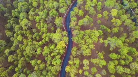 Car driving down on road crossing the vast forest. Top View. Stock Footage 245803367