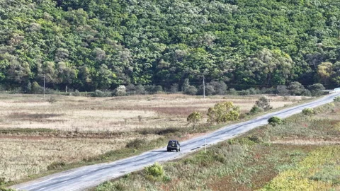 Car Driving Down Road in Front of Forest Video stock 265790319