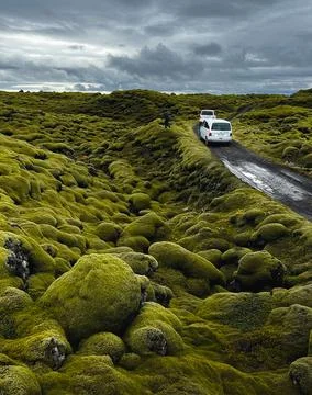 A car is driving down a road surrounded by a lush green hillside covered in moss Foto stock