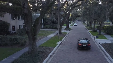 Car Driving Down Tree Lined Street 動画素材 78454462