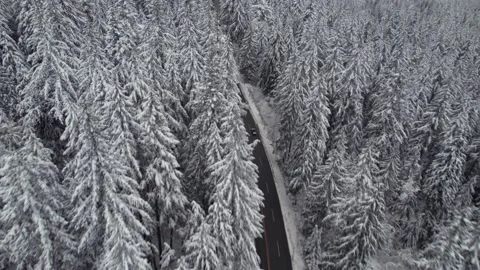 Car driving down winter road and forest with snow covered trees beautiful winter Vídeos de archivo 230194052