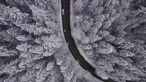 Car driving down winter road and forest with snow covered trees beautiful winter Stock Footage 230194282