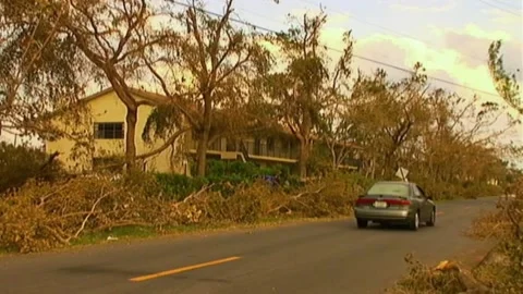 Car Driving By Downed Trees After Hurricane Wilma Stock Footage 291000551