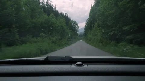 Car driving on empty asphalt road through dense green forest. A view throug.. Video stock 341324302