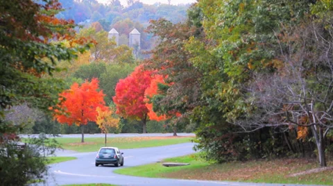 Car Driving in Fall Stock Footage 36030833