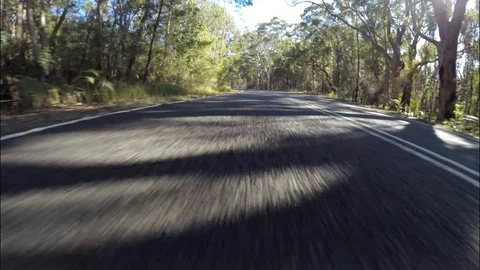 Car driving fast through forest low angle bumper view Stock Footage 92349953