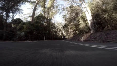 Car driving fast through forest low angle superwide bumper view Stock Footage 92448519