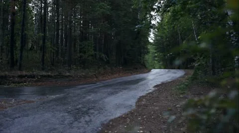 Car driving Stock Footage 12292428