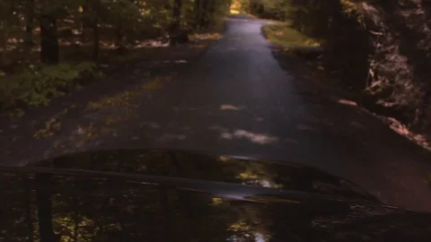 Car Driving In A Forest Stock Footage 82292760