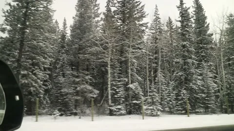 Car Driving On Forest Road Covered In Snow Canada 4K Stockbeeldmateriaal 239171684