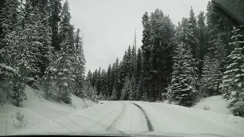 Car Driving On Forest Road Covered In Snow Canada HD Stockbeeldmateriaal 239172987