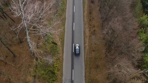 Car driving in the forest road. Drone tracking shot Stock Footage 124314360