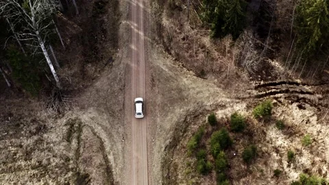 Car driving on forest road Video stock 151697403