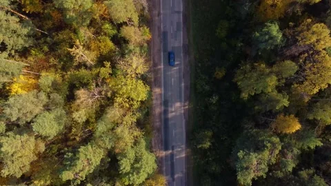 Car driving in forest road Video stock 203221422