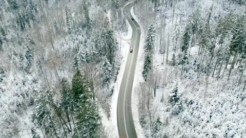 A car is driving on the forest road in mountains. Alps, Germany. Aerial video Stock Footage 304270022