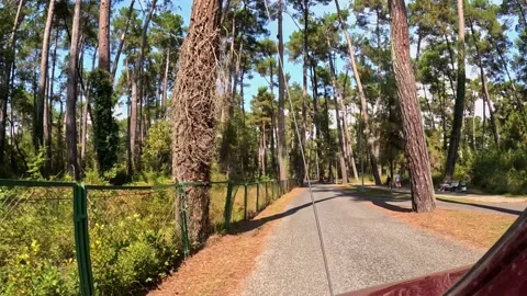 A car is driving on a forest road, view from the salon 库存影片 255798542