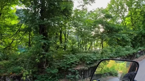 A car is driving on a forest road, view from the salon 库存影片 255798639