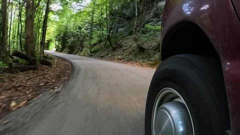 A car is driving on a forest road, view from the salon 库存影片 255799064