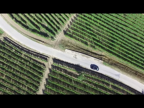 Car driving in langhe Stock Footage 73986971