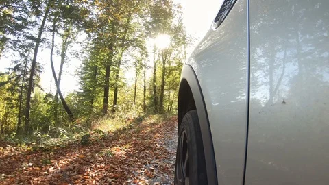 Car driving on a leaf covered forest road in autumn Stock Footage 118544865