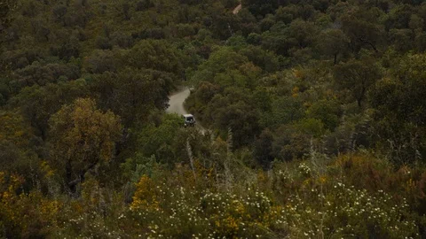 A car driving in the middle of green trees Stock Footage 88699419