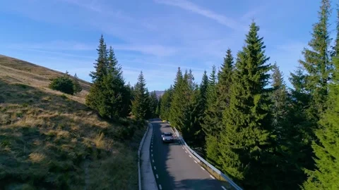 Car driving on the mountain road with forest. 4K aerial footage. Stock Footage 236204052