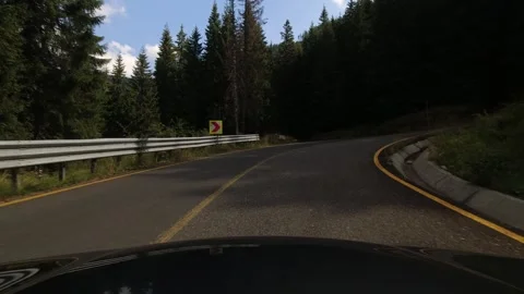 Car driving in mountain tree canopy 4K video 動画素材 253973559