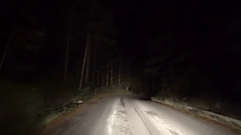 Car driving at night on country road in mountain with of forest pine trees Stock Footage
