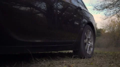 Car driving over vivid fallen autumn tree leaves on forest road, car traveling Stock Footage 143867790