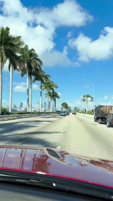 Car driving on palm tree lined road in Miami with city skyline on sunny day Video stock 325911387