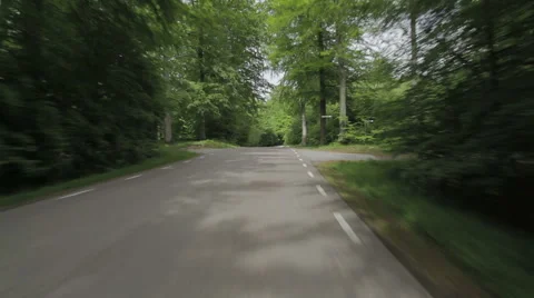Car driving on a paved road through a beech forest Stock Footage 51101095