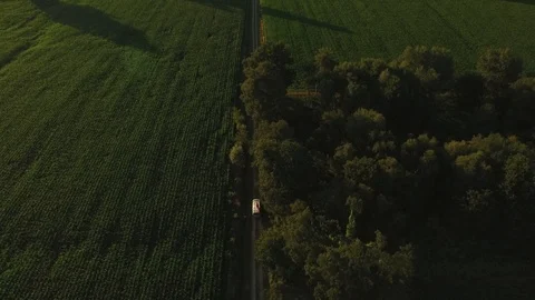 Car driving on road in the middle of the field in the sunset Video stock 103705583