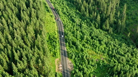 Car driving road pine forest mountains hill country Stock Footage 158770586