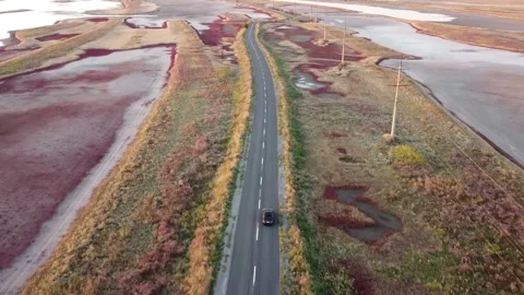 Car driving on a road, red algae, marshes, Bilosaraysky Ornithological Reserve Stock Footage 310172339