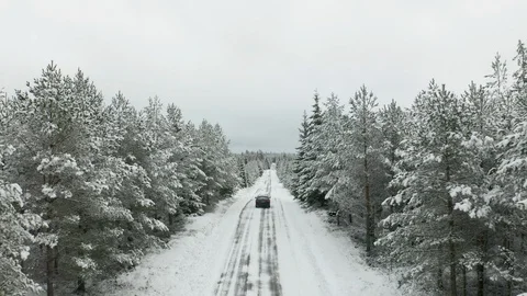 Car driving on a road surrounded by forest &amp; trees covered in snow &amp; frost Stock Footage 129283397